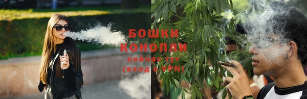 гидропоника Бронницы