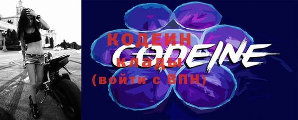 СК Богородск