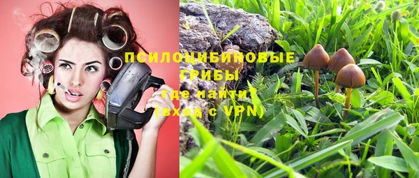 гидропоника Бронницы