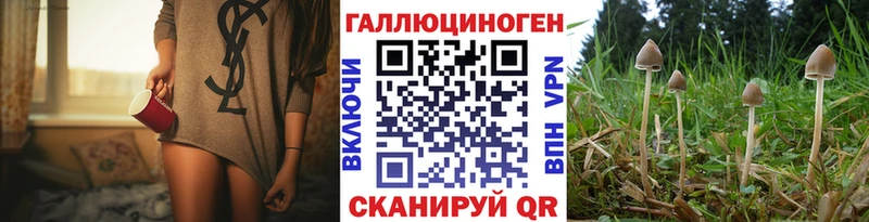 Галлюциногенные грибы мухоморы  где купить наркотик  Волосово 